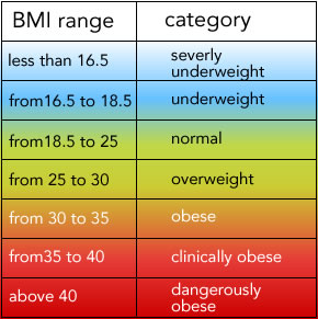 Bmr Chart For