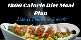 1200 Calorie Diet Meal Plan Lose 11 Pounds in 2 Weeks