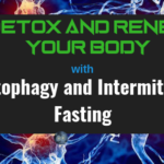 Detox and Renew Your Body with Autophagy and Intermittent Fasting autophagy and fasting intermittent fasting