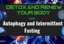 Detox and Renew Your Body with Autophagy and Intermittent Fasting autophagy and fasting intermittent fasting