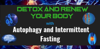 Detox and Renew Your Body with Autophagy and Intermittent Fasting autophagy and fasting intermittent fasting
