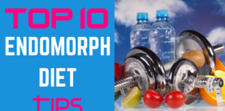 Top 10 Endomorph Diet Tips to Burn Fat and Lose Weight Fast endomorph diet