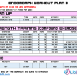 Endomorph workout