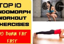Top 10 Endomorph Workout Exercises for Fat Burning endomorph workout exercises