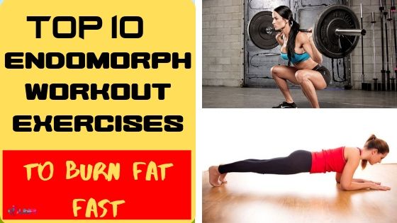 endomorph workout exercises