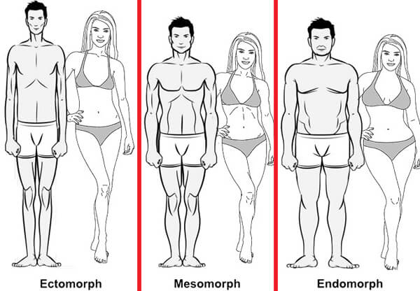 female endomorph workout
