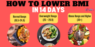 How to Lower BMI and Body Fat in 14 Days or Less how to lower bmi