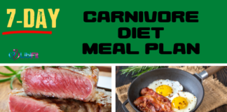 Carnivore Diet Meal Plan+ Beginner’s Guide + Carnivore Recipes carnivore diet meal plan