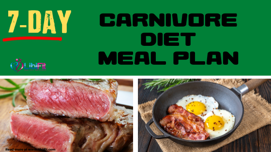 carnivore diet meal plan