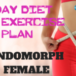 endomorph diet female